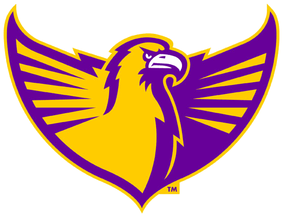 Tennessee Tech Golden Eagles 2006-Pres Alternate Logo v7 diy iron on heat transfer